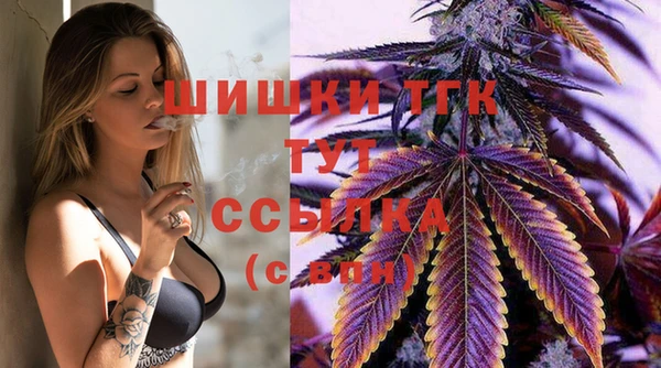 мяу мяу кристалл Няндома