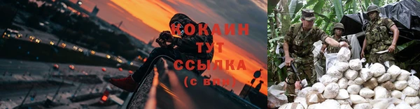 мяу мяу кристалл Няндома
