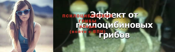 мяу мяу кристалл Няндома