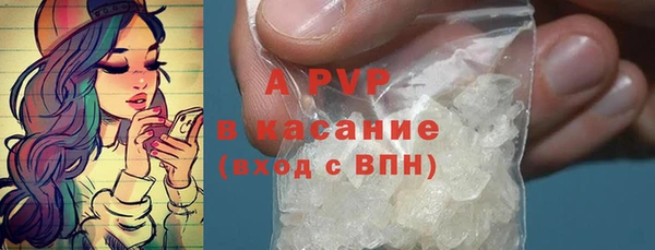 сатива Нязепетровск