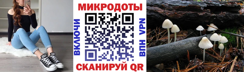 Псилоцибиновые грибы Cubensis Мурманск