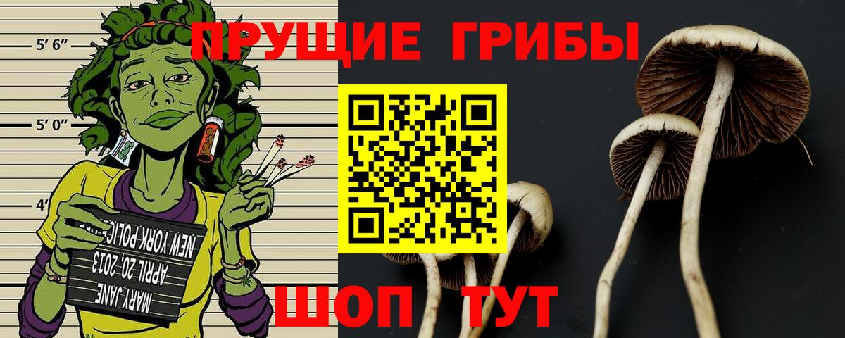 Галлюциногенные грибы ЛСД  Вход с VPN  Мурманск  Галлюциногенные грибы MAGIC MUSHROOMS 
